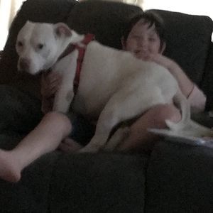 Meet your Posher, Carol